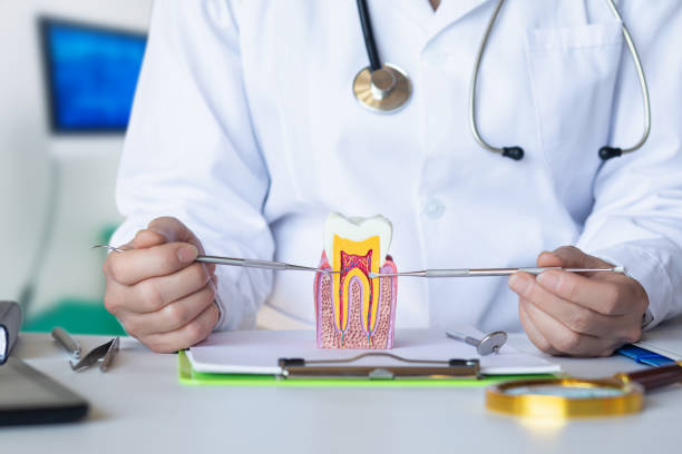 Best Knocked-Out Tooth Emergency  in Fairhope, PA